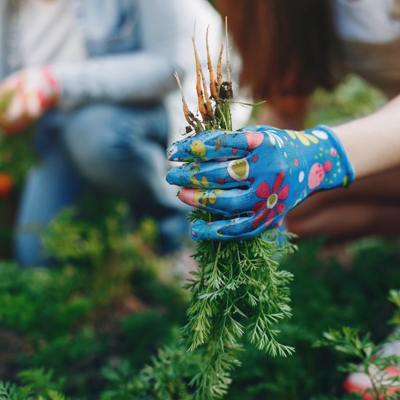 Beautiful women works in a garden near the house